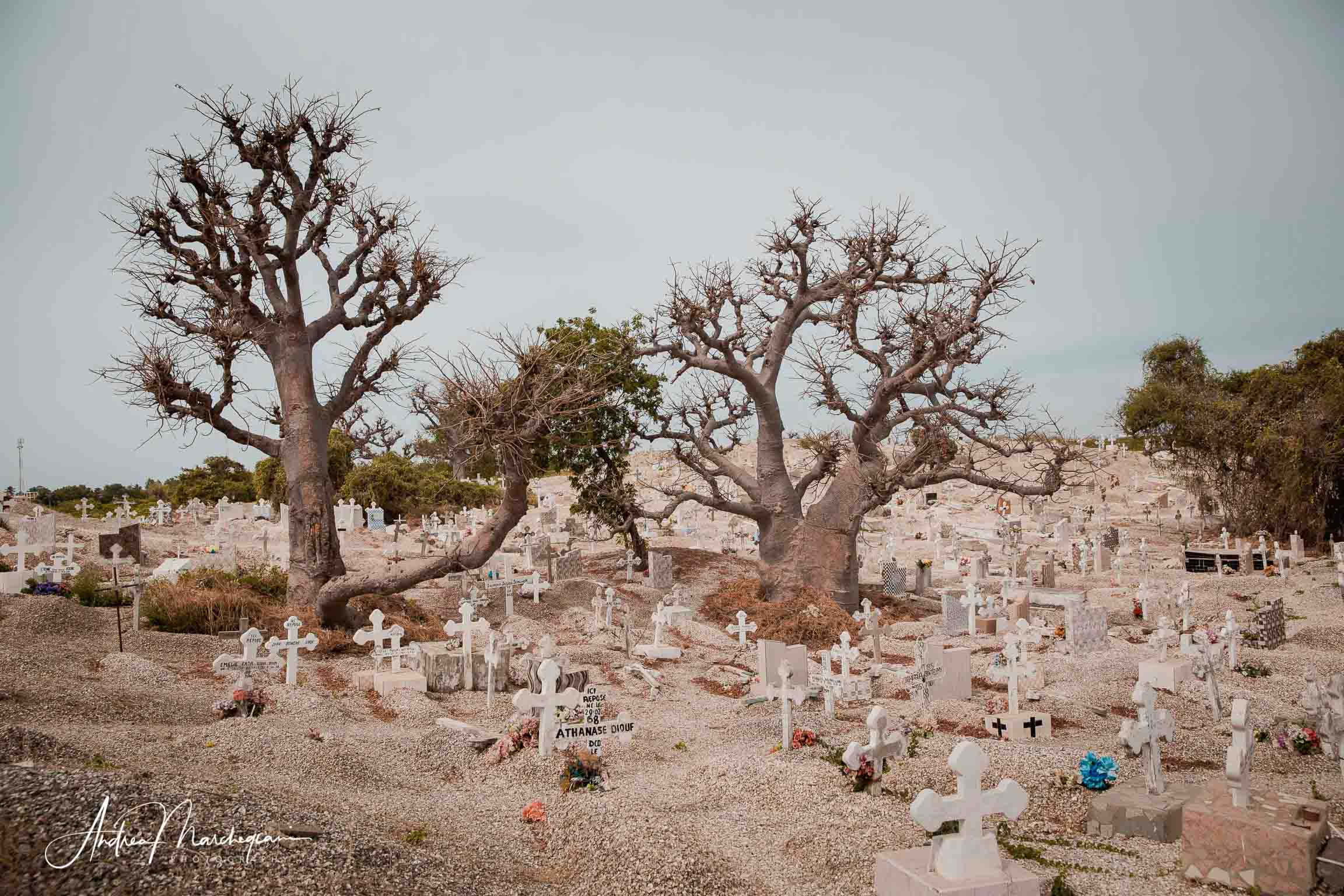 Joal Fadiouth Senegal Travel Photography Andrea Marchegiani