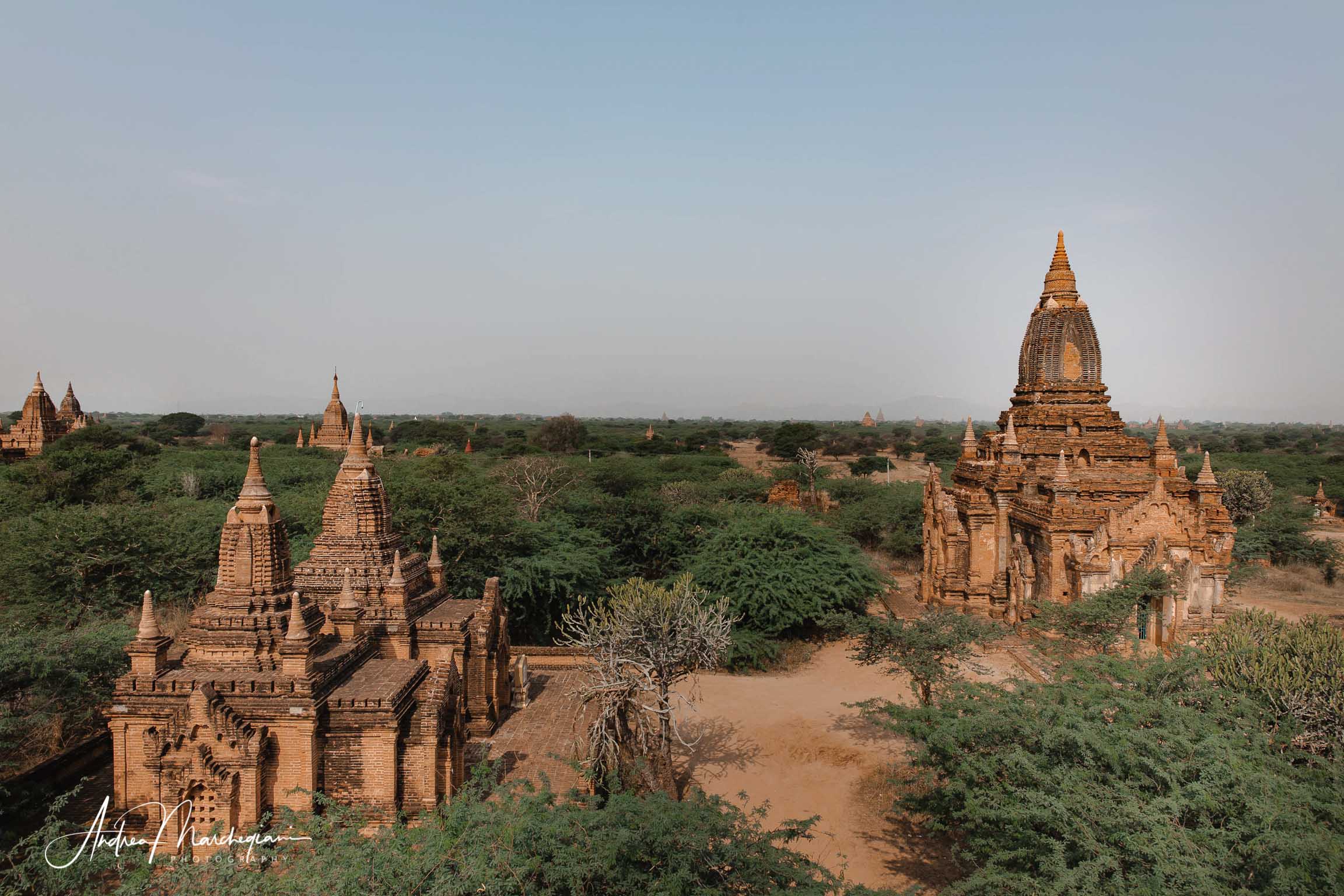 Veduta sui templi di Bagan, Birmania
