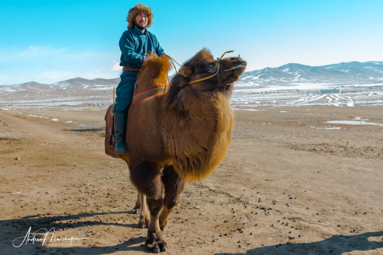 Ulaanbaatar, the coldest, ugliest, most polluted capital in the world